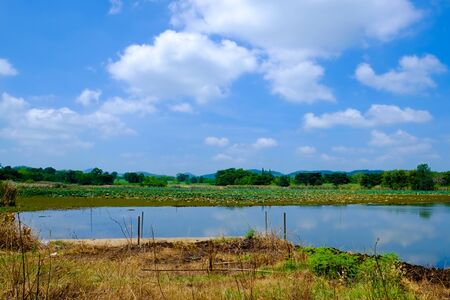 big lake with green field and blue skyの写真素材