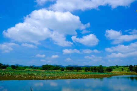 big lake with green field and blue skyの写真素材