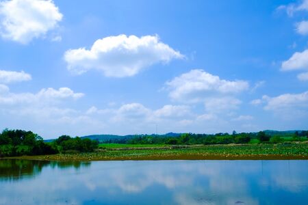 big lake with green field and blue skyの写真素材