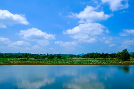 big lake with green field and blue skyの写真素材