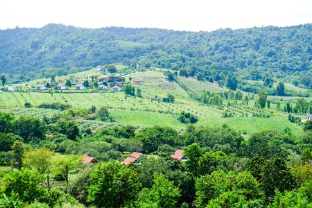 nature green field with mountainscapeの写真素材