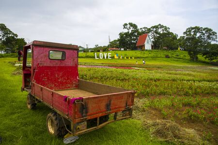Dasi flowers farmの写真素材