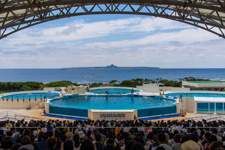 Dolphin show ,Okinawa, Japan -April 18 ,2018:Tourists watching a dolphin show at the Okinawa...