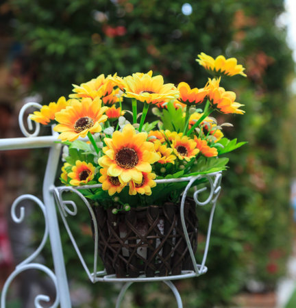 Flowers yellow color in the jardiniereの写真素材