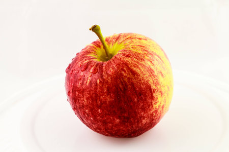 Red apple one of pie ceの写真素材