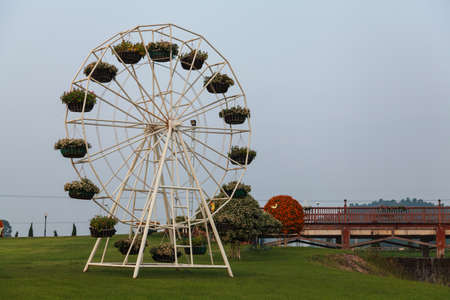 The park and green gressの写真素材