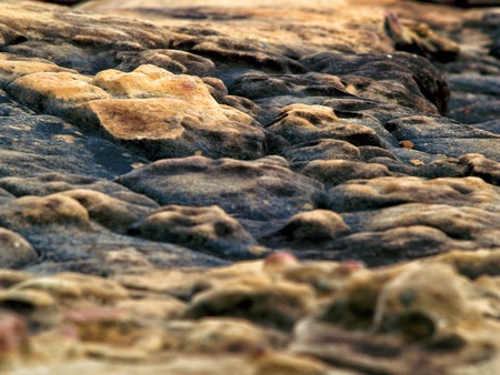 Stone surface      の写真素材