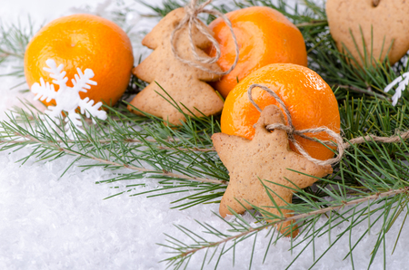 Christmas decorations, cookies and tangerines on the branches of spruceの写真素材