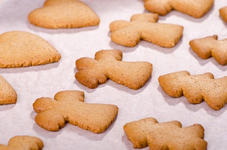 Cooked Christmas gingerbread cookies with ginger on a sheet of parchmentの写真素材