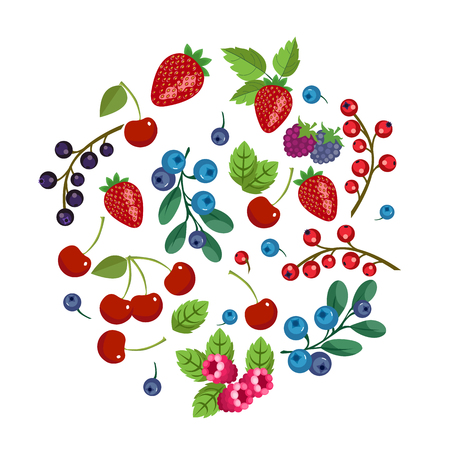 Fresh fruits and berries. Vector fruit banner. Sweet forest andのイラスト素材