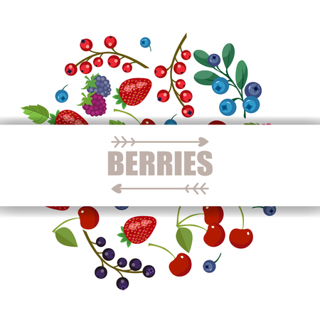 Fresh fruits and berries. Vector fruit banner. Sweet forest andのイラスト素材