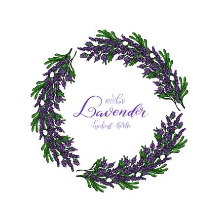 Lavender Card with flowers. Vintage Label with provence violet lavender. Wreath of Lavender. Greeting card provence herbs,  invitation card for wedding, birthday and other holiday and summer background. Vector illustration.のイラスト素材