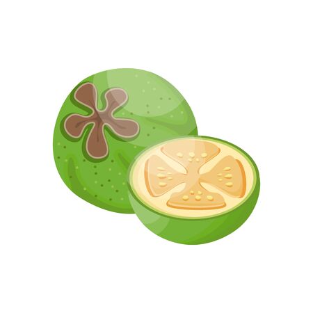 Feijoa, whole fruit and half. Tropical fruits for a healthy lifestyle. Vector illustration cartoon flat icon isolated on white.のイラスト素材