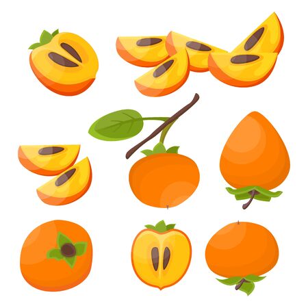 Bright vector set of colorful half, slice and whole of juicy persimmon. Fresh cartoon persimmon isolated on white background. Juice or jam illustration.のイラスト素材