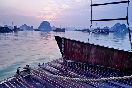 A view from the back of one of the many の写真素材