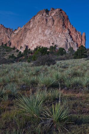 Beautiful rock formations in Garden of the Gods, Colorado Springs の写真素材