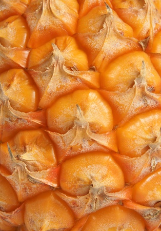 Detail pineapple close-up, for backgrounds or texturesの写真素材