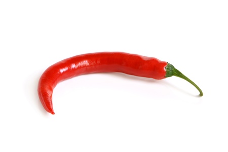 Red chili pepper on a white background