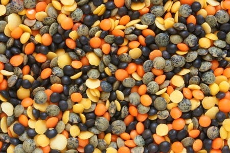 Mixture of dried lentils, for backgrounds or textures
