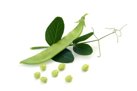 Fresh green peas  with leaves on white backgroundの写真素材