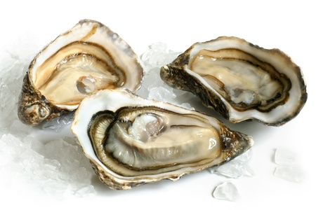 Raw oysters with ice on a white background
