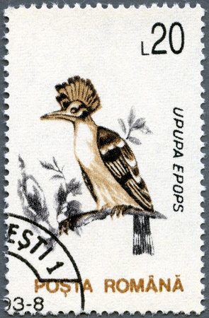 ROMANIA - CIRCA 1993: A stamp printed in Romania shows Hoopoe (Upupa epops), circa 1993の写真素材