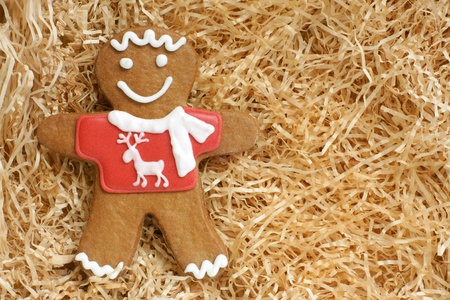 Christmas gingerbread cookie on a paper shaving