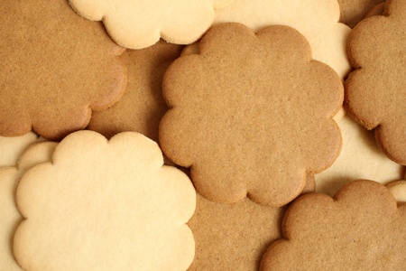 Cinnamon and milky cookies, for backgrounds or textures