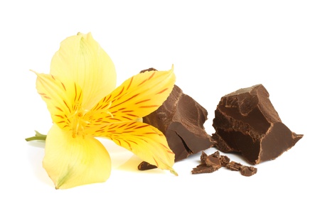 Dark chocolate with flower of alstroemeria on a white の写真素材