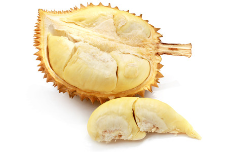 Durian on a white の写真素材