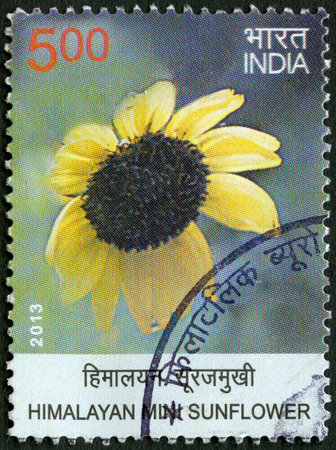 INDIA - CIRCA 2013: A stamp printed in India shows Himalayan Mini Sunflower, series Wild Flowers, circa 2013のeditorial素材