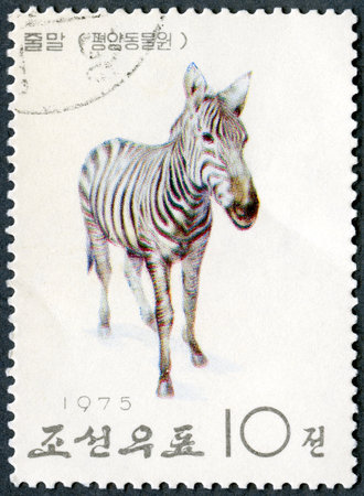 NORTH KOREA - CIRCA 1975: A stamp printed in DPR Korea shows Zebra, series Pyongyang Zoo, circa 1975のeditorial素材