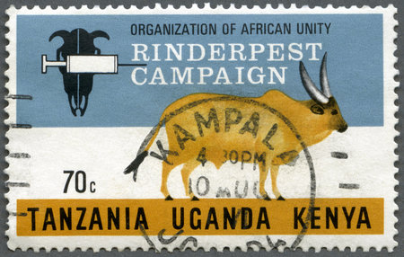 TANZANIA UGANDA KENYA - CIRCA 1971: A stamp printed in Tanzania shows Campaign Emblem and Cow, series Rinderpest campaign by the Organization for African Unity, circa 1971のeditorial素材