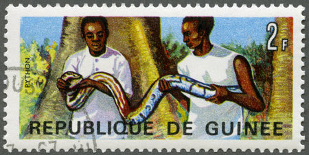GUINEA - CIRCA 1967: A stamp printed by Guinea shows Men holding rock python, circa 1967のeditorial素材