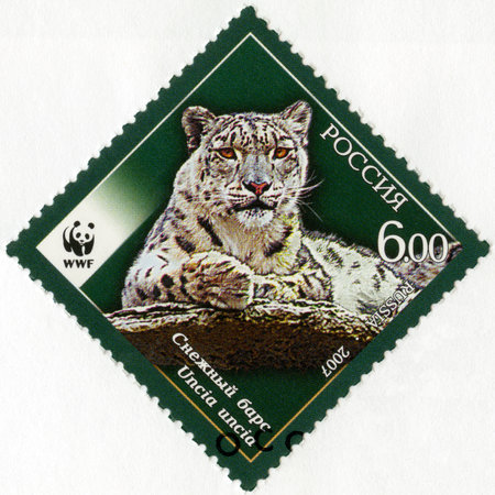 RUSSIA - CIRCA 2007: A stamp printed in Russia shows Fauna Snow Leopard, series the endangered animal species, circa 2007のeditorial素材
