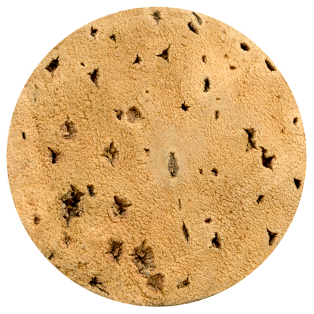 Wine cork front isolated on white backgroundの写真素材