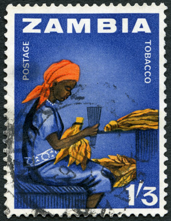 ZAMBIA - CIRCA 1964: A stamp printed in Zambia shows Woman tobacco worker, series Zambia independence, circa 1964のeditorial素材