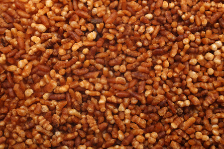 Roasted brown rice for japanese genmaicha tea, for backgrounds or texturesの写真素材