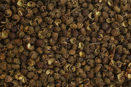 Sichuan pepper (Zanthoxylum piperitum), for backgrounds or texturesの写真素材