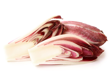 Red chicory on white backgroundの写真素材