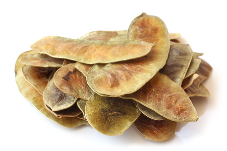 Senna pods on white background