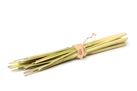 Bundle of lemon grass on white backgroundの写真素材