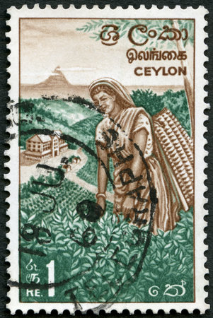 CEYLON - CIRCA 1964: A stamp printed in Ceylon shows Tea Picker, circa 1964のeditorial素材