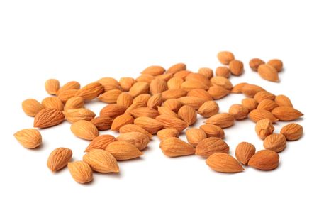 Apricot seeds on white backgroundの写真素材