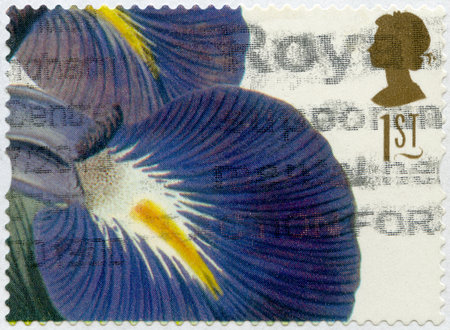 GREAT BRITAIN - CIRCA 1997: A stamp printed in Great Britain shows Iris Latifolia, circa 1997のeditorial素材
