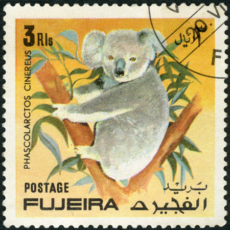 FUJEIRA - CIRCA 1971: A stamp printed in Fujeira shows Koala, Wild animal, circa 1971のeditorial素材