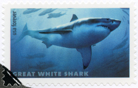UNITED STATES OF AMERICA - CIRCA 2017: A stamp printed in USA shows Great white shark, Sharks, circa 2017のeditorial素材