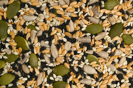 Seeds mixture, for backgrounds or texturesの写真素材
