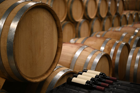 Wooden wine barrels in the cellar of the winery