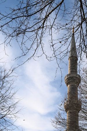The Blue Mosque (Sultan Ahmed Mosque) in Fatih district of Istanbul, Turkeyの写真素材